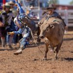 Estudo indica que rodeios movimentaram mais de R$ 2 bilhões no Rio Grande do Sul em 2023