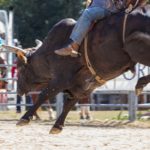 Estudo indica que rodeios movimentaram mais de R$ 2 bilhões no Rio Grande do Sul em 2023
