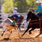 Rodeios movimentam R$ 2 bi por ano no RS, aponta pesquisa