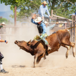 Festa do Peão de Barretos: quem são os vaqueiros mais populares que vão participar do rodeio?
