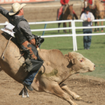 Como a Tecnologia Revoluciona o Treinamento em Rodeios de Touros e Cavalos