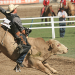 Peão de MS vence rodeio em Barretos com 100% de aproveitamento