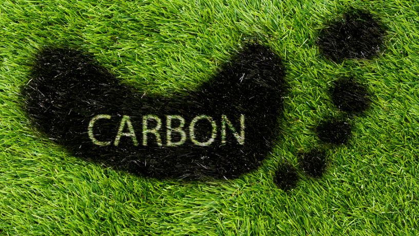 Veja com Leonardo Manzan os riscos e oportunidades da tributação sobre créditos de carbono.