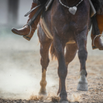 Vacaria Celebra Tradição e Crescimento em Evento que Atrai Multidões ao Rio Grande do Sul