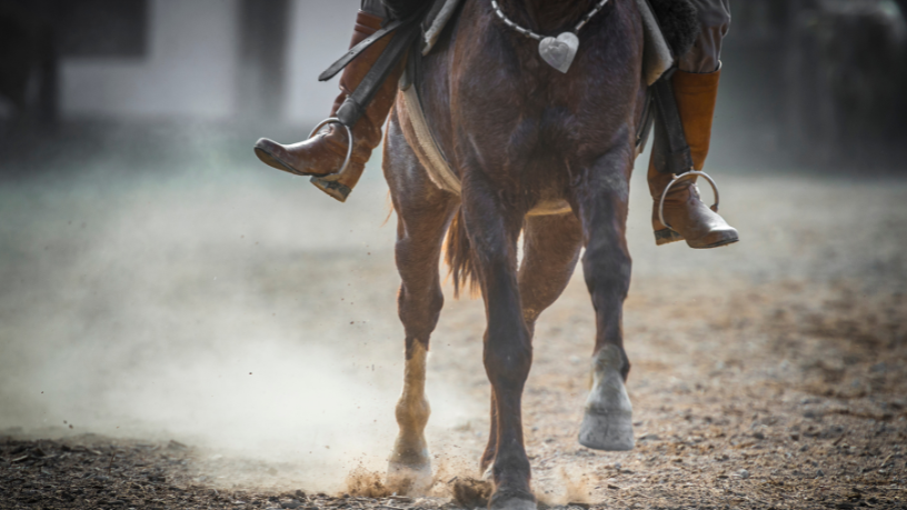 Cavalgada e Polêmica: A Debate que Está Movimentando a Comunidade na Cidade