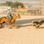 Cavalgada e Polêmica: A Debate que Está Movimentando a Comunidade na Cidade