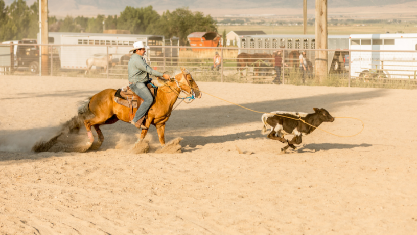 Vacaria Celebra Tradição e Crescimento em Evento que Atrai Multidões ao Rio Grande do Sul