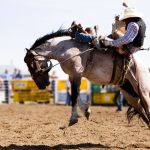 Licitação do Rodeio Show de Porto Murtinho levanta debate sobre transparência em eventos públicos