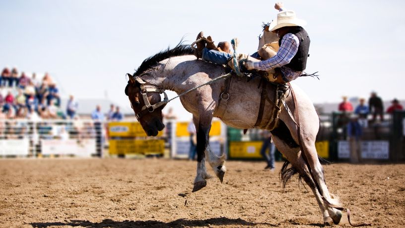 Itajubá Rodeio Festival impulsiona turismo e celebra os 207 anos da cidade com etapa nacional da PBR ACF Tour