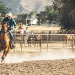 Camboriú celebra aniversário com rodeio nacional e shows: tradição, turismo e impacto econômico em destaque