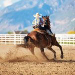 Camboriú celebra aniversário com rodeio nacional e shows: tradição, turismo e impacto econômico em destaque