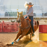 Globo é processada por ONGs por documentário sobre rodeios: debate sobre ética animal ganha força no Brasil