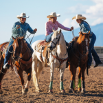 Rodeio e tecnologia na segurança pública: por que o kit da Defesa Civil se tornou indispensável nos eventos