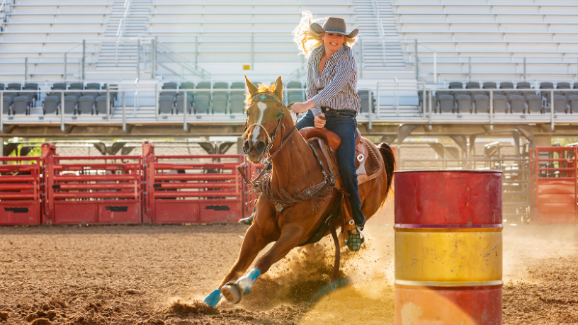 Rodeios em Campinas e decisão da Justiça reacendem debate sobre bem-estar animal