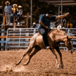 Violência contra a mulher em rodeios no RS e o silêncio político que alimenta a impunidade
