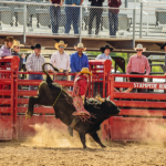 Rotina dos peões de rodeio em Araxá: preparo intenso, disciplina e a realidade entre o barro e a arena