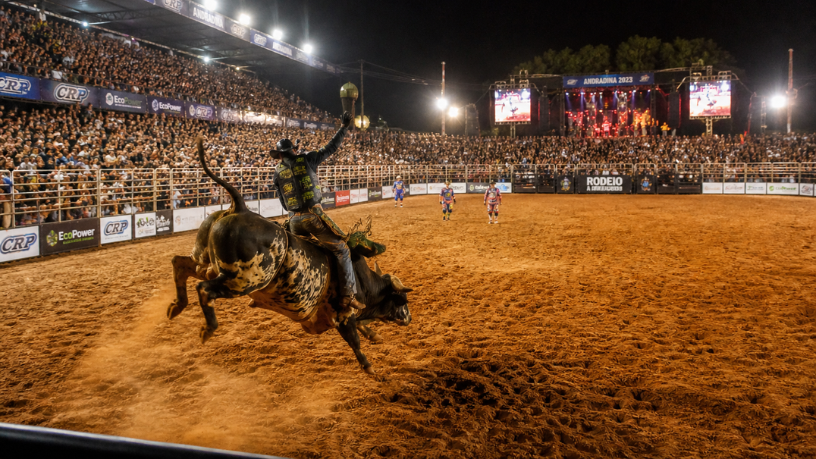Rodeio em Andradina 2026: evento se consolida como potência regional com final eletrizante