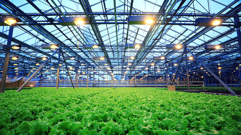 Política para o agronegócio ganha força no Congresso e pode impactar rodeios e o interior do Brasil