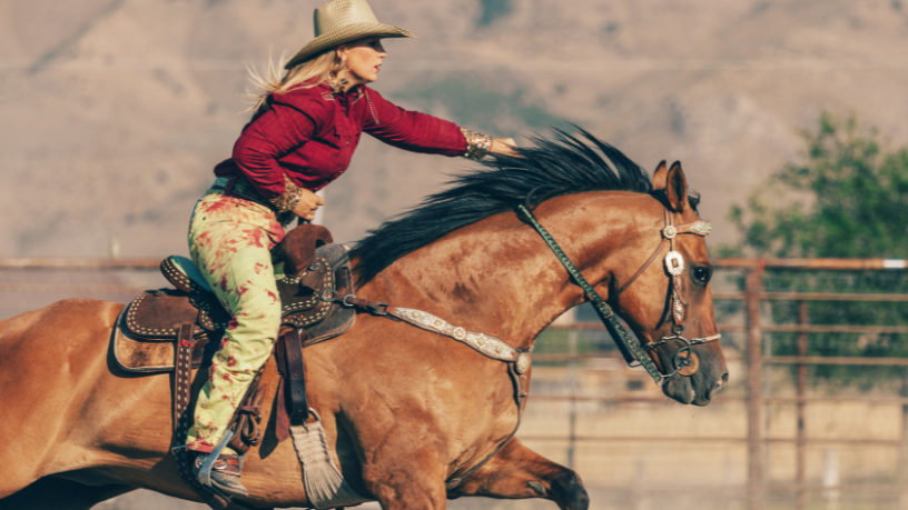 Festa do Peão de Barretos 2026: tudo o que você precisa saber antes de viajar para o maior rodeio da América Latina