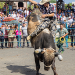 Festa do Peão de Salto de Pirapora chega aos 40 anos com Ana Castela, Zezé Di Camargo e Gustavo Mioto