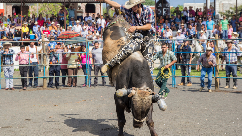 Festa do Peão de Barretos 2026 anuncia premiação de R$ 1,5 milhão e vaga direta para rodeio dos Estados Unidos