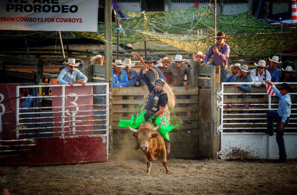 Peão monta um touro durante uma competição de rodeio diante de espectadores.