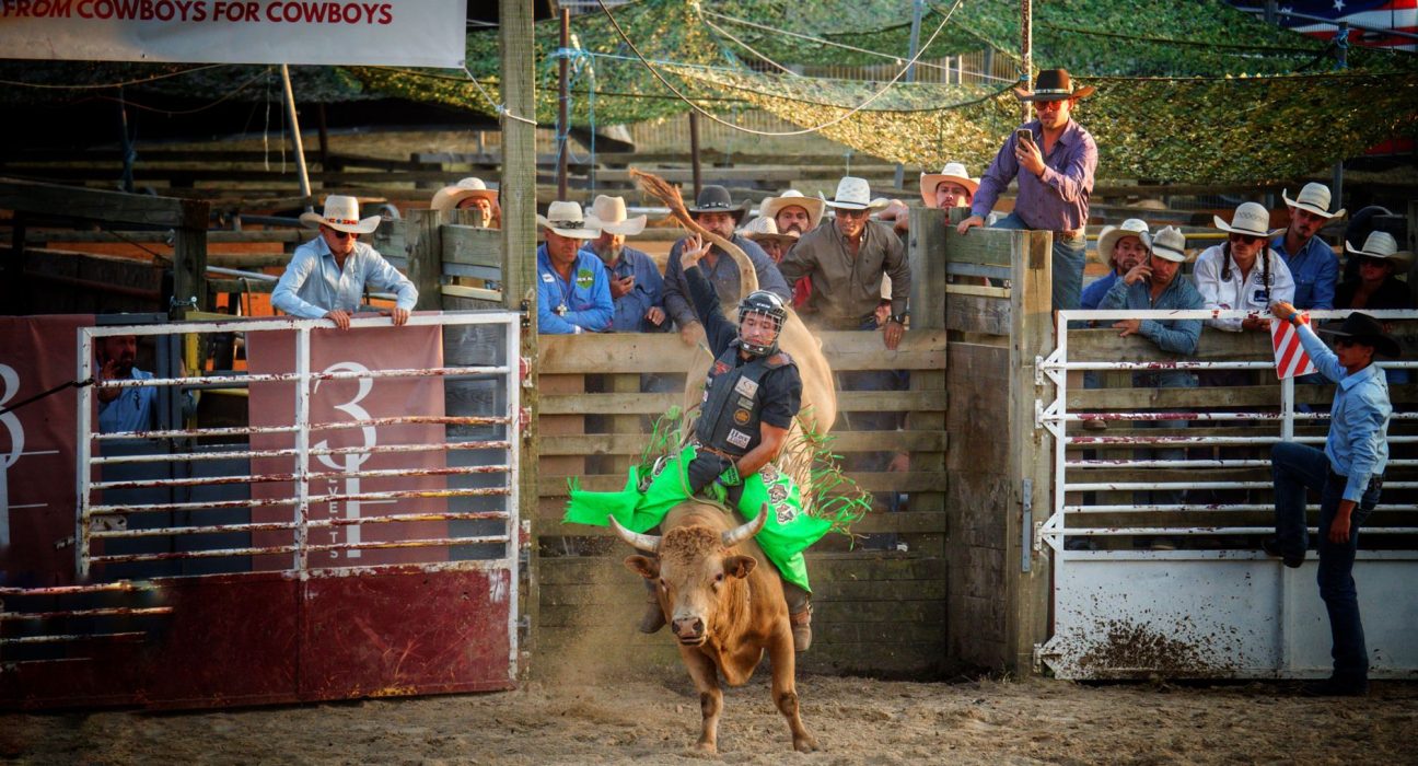 Peão monta um touro durante uma competição de rodeio diante de espectadores.