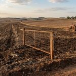 Crédito privado rural amplia caminhos para custeio e investimento no campo