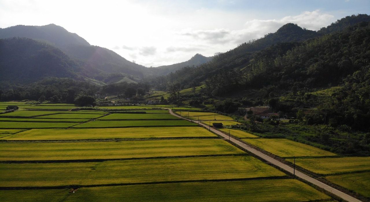 Vista aérea de áreas agrícolas verdes cercadas por montanhas em Massaranduba, Santa Catarina.