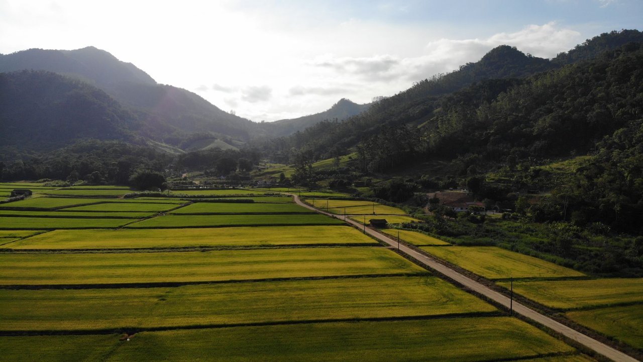 Vista aérea de áreas agrícolas verdes cercadas por montanhas em Massaranduba, Santa Catarina.