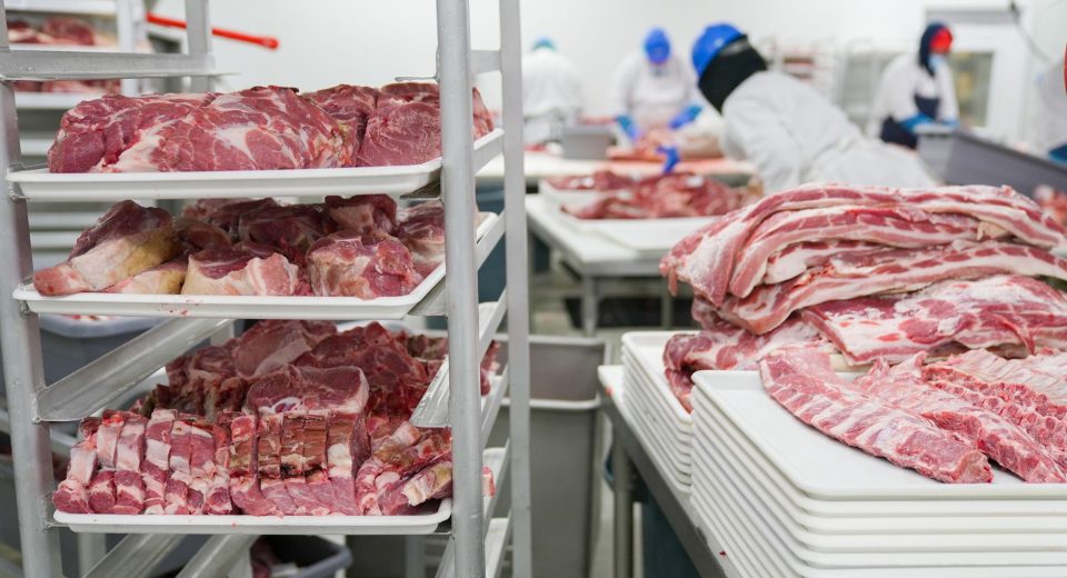 Trabalhadores processam cortes de carne suína em uma unidade industrial de alimentos.