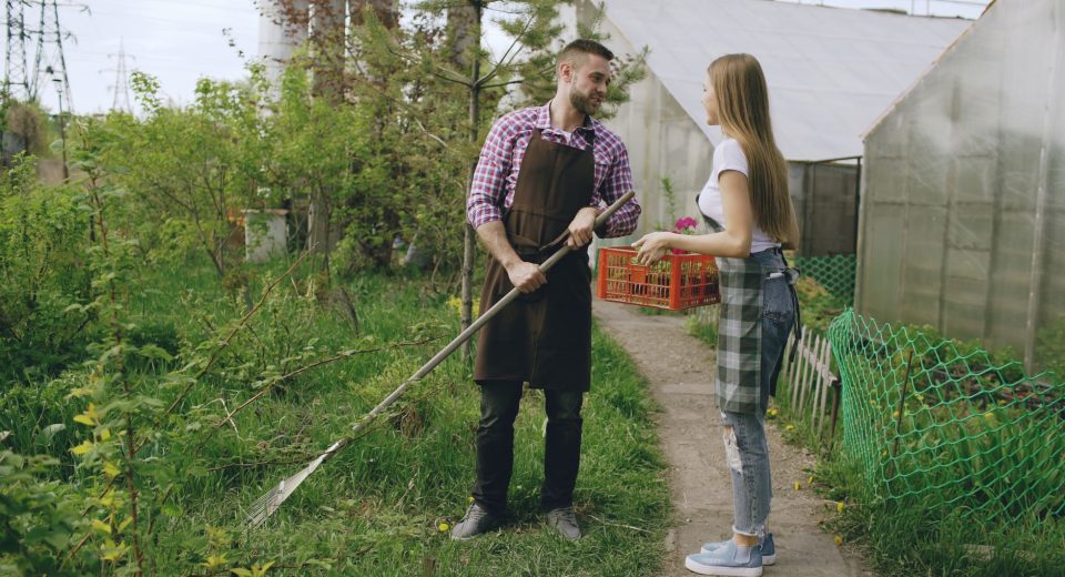 Dois jovens agricultores trabalham juntos em uma horta próxima a uma estufa, segurando ferramentas e uma caixa.